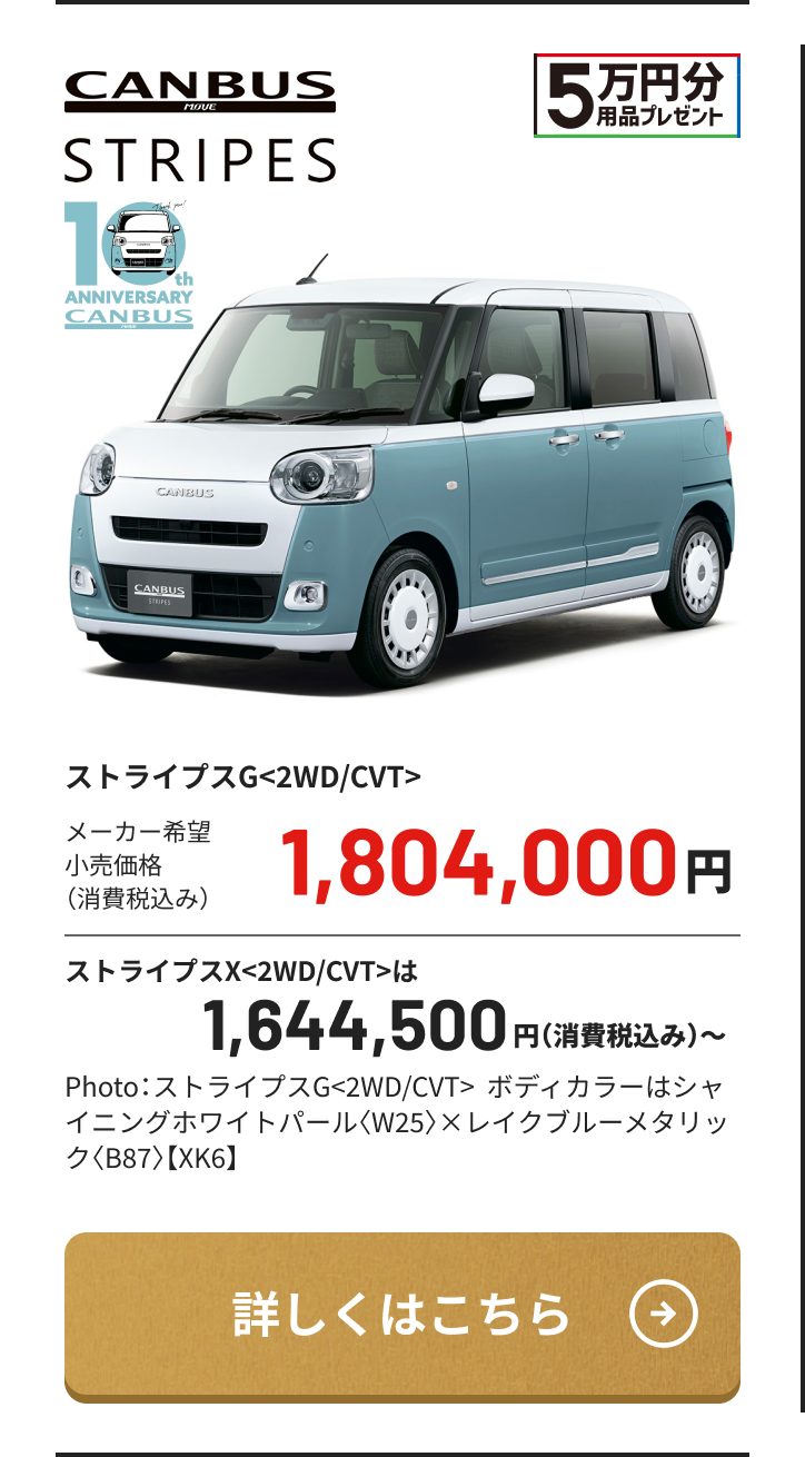 CANBUS STRIPES